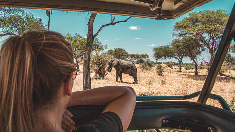 woman looking at elephant
