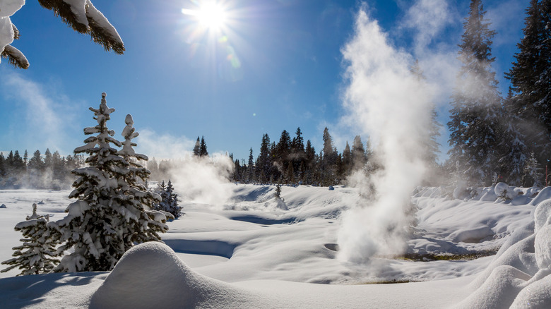 Geysers out of snowbank