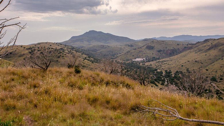 Landscape at Davis Mountains State Park