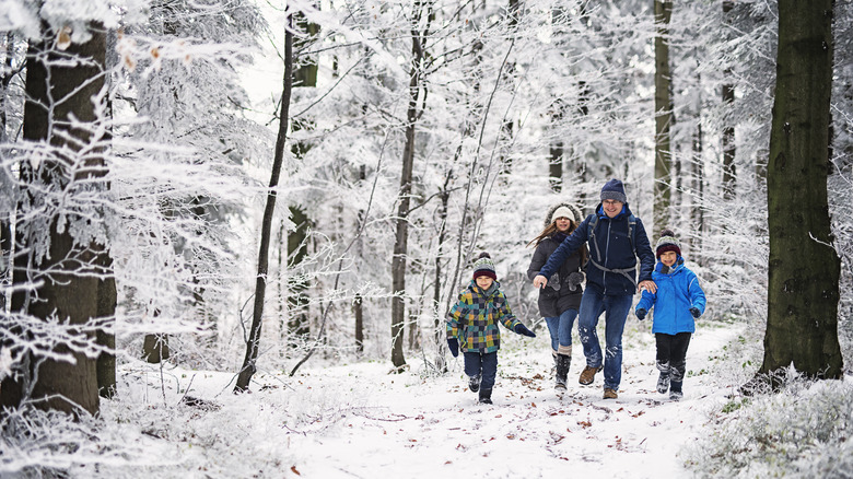 Family hikes in snowy woods
