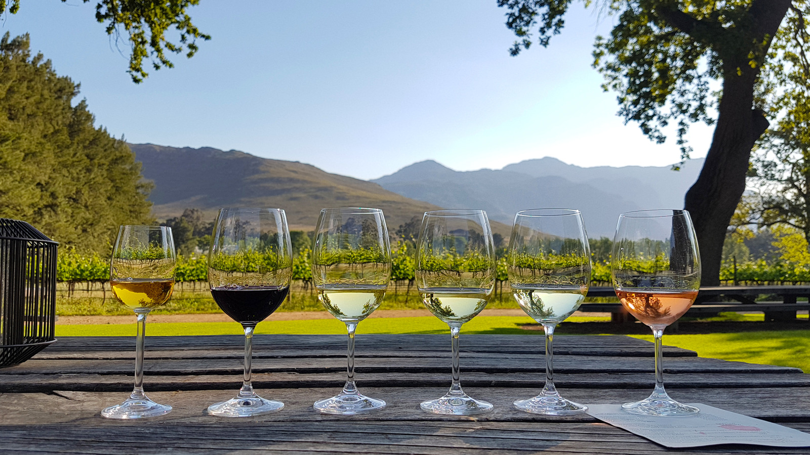 The Best US Cities To Visit For Wine Tastings