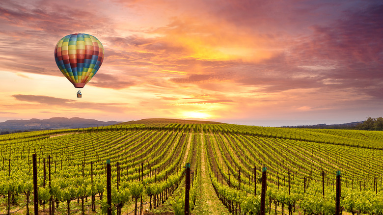 hot air balloon Napa Valley