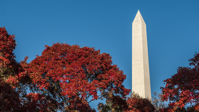 Washington Monument with foliage
