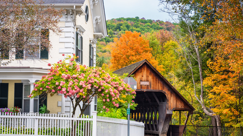 A wooden covered bridge and trees near a charming white house with a white fence and a pink blooming tree in Woodstock, Vermont