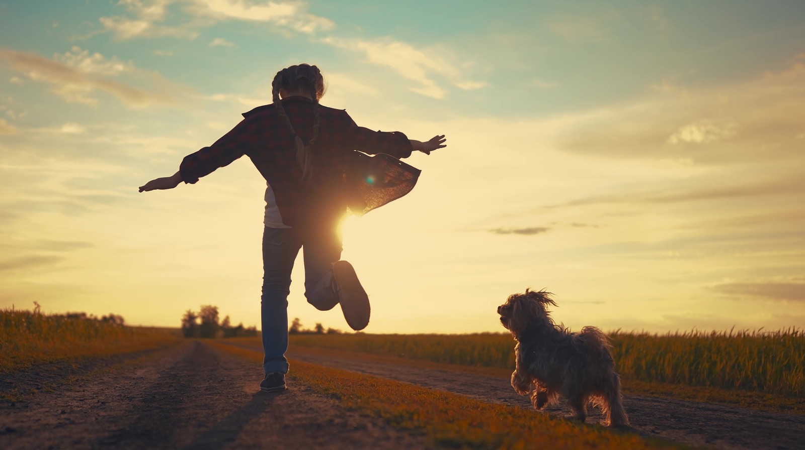 The Best Vacation Destinations In The US Where Dog Lovers Will Absolutely Thrive, According To Reviews
