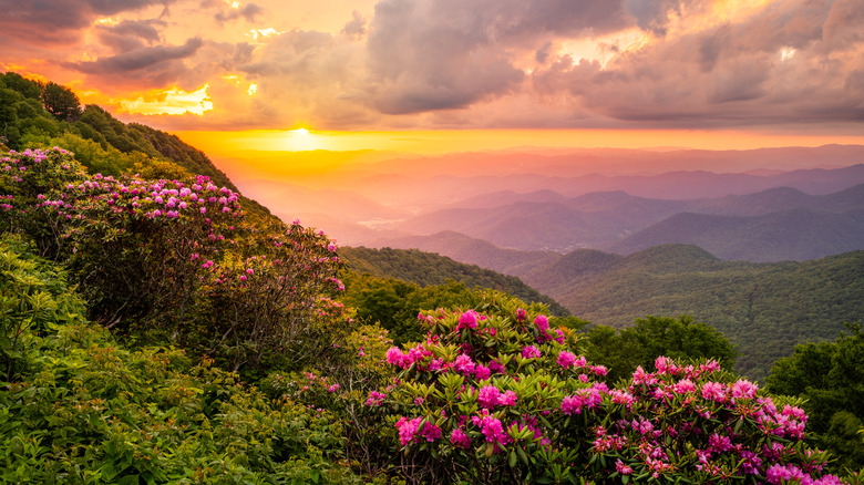 Asheville, North Carolina, in spring