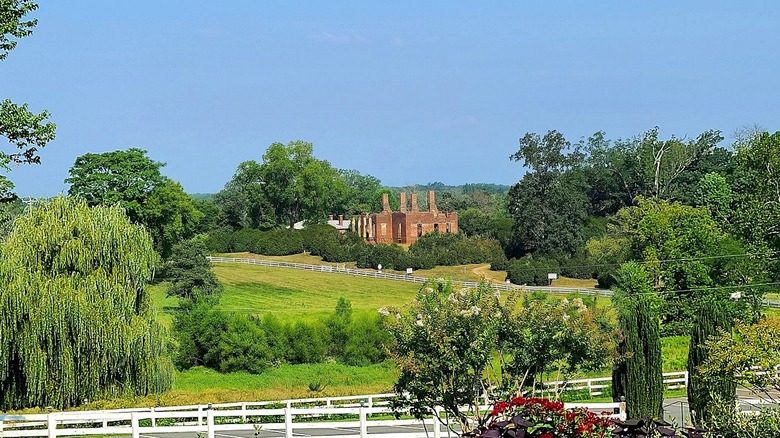 View of ruins from Barboursville Vineyards