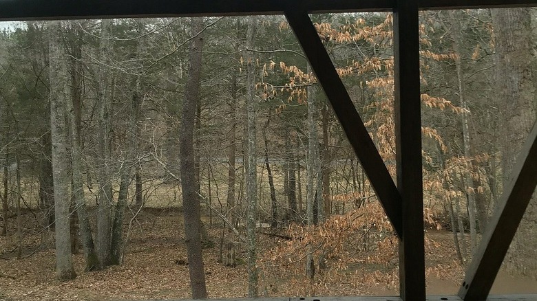 View from inside Gabriele Rausse Winery tasting room