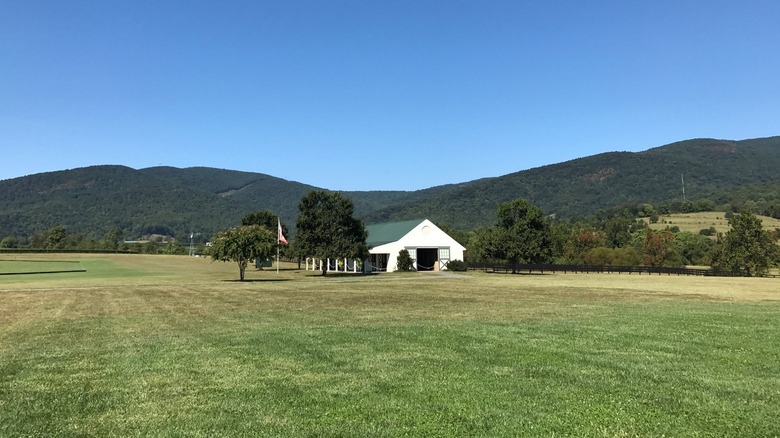 View of King Family Vineyards