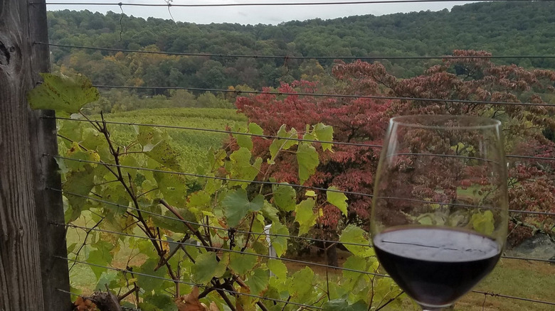 View from Linden Vineyards tasting room