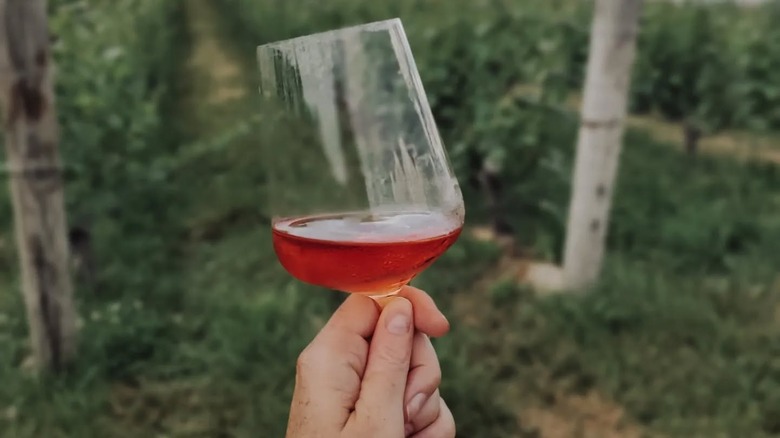 Glass of wine at Lost Mountain Vineyards