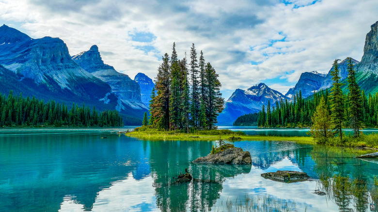 small island with trees on lake