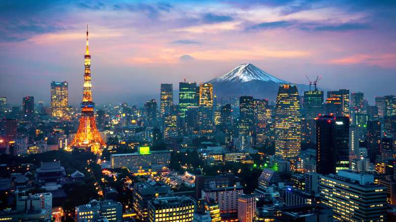 Aerial view Tokyo skyline  