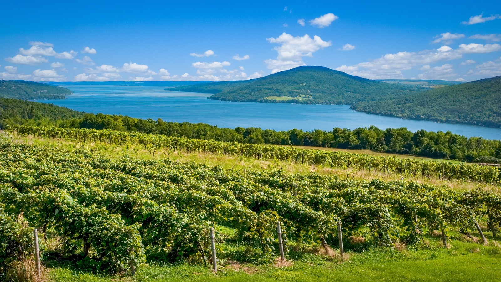 Best wineries on clearance cayuga lake