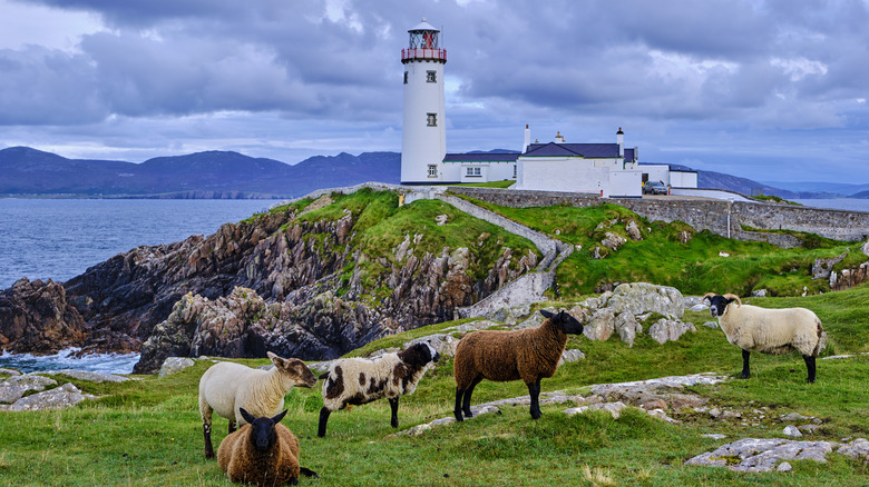 a scene in Donegal