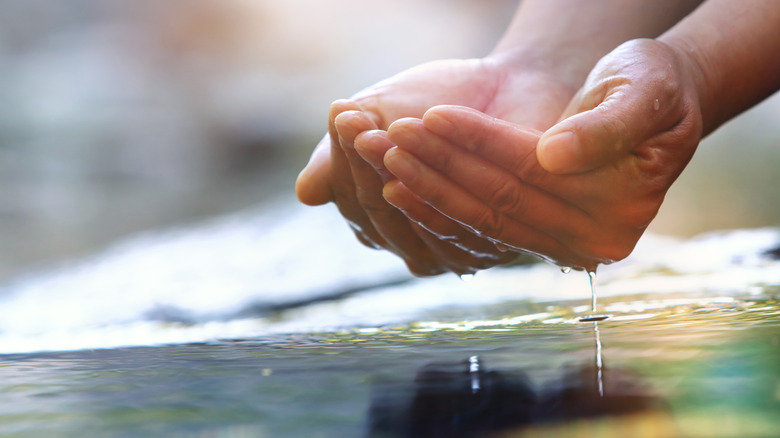 hands in river