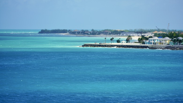 View of the Bimini shoreline in the Bahamas