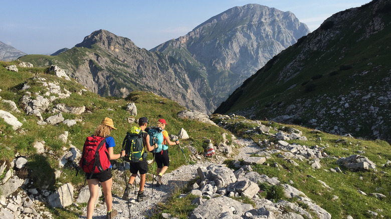 Three hikers with backpacks and trekking sticks hiking in mountains