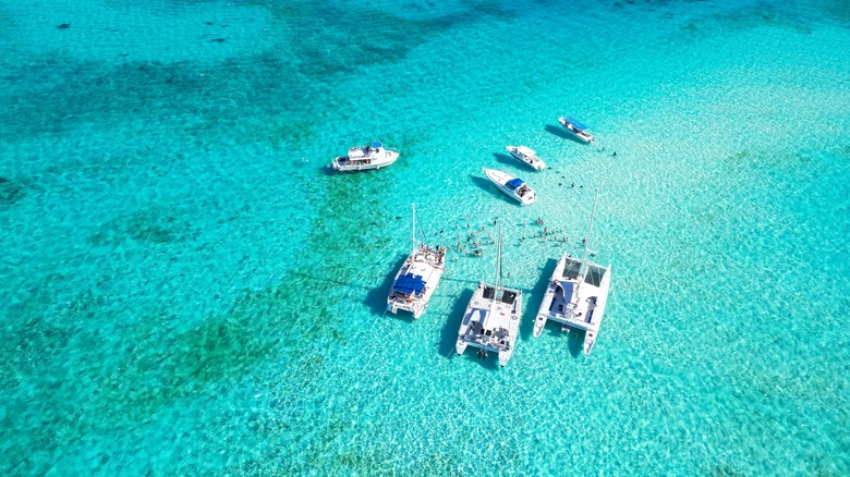 Stingray City sandbar