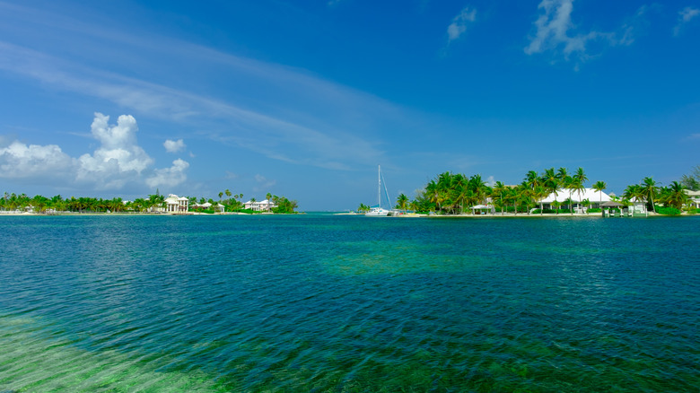 clear blue and green bay in the Cayman Islands