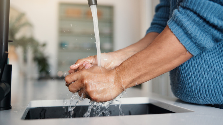 person washing their hands in a kitchen sink