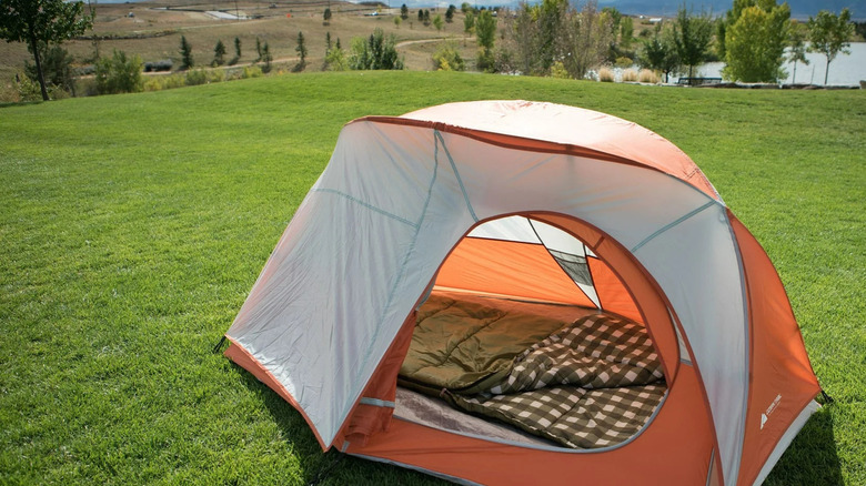 Walmart orange oversized 1-person hiking tent on grass