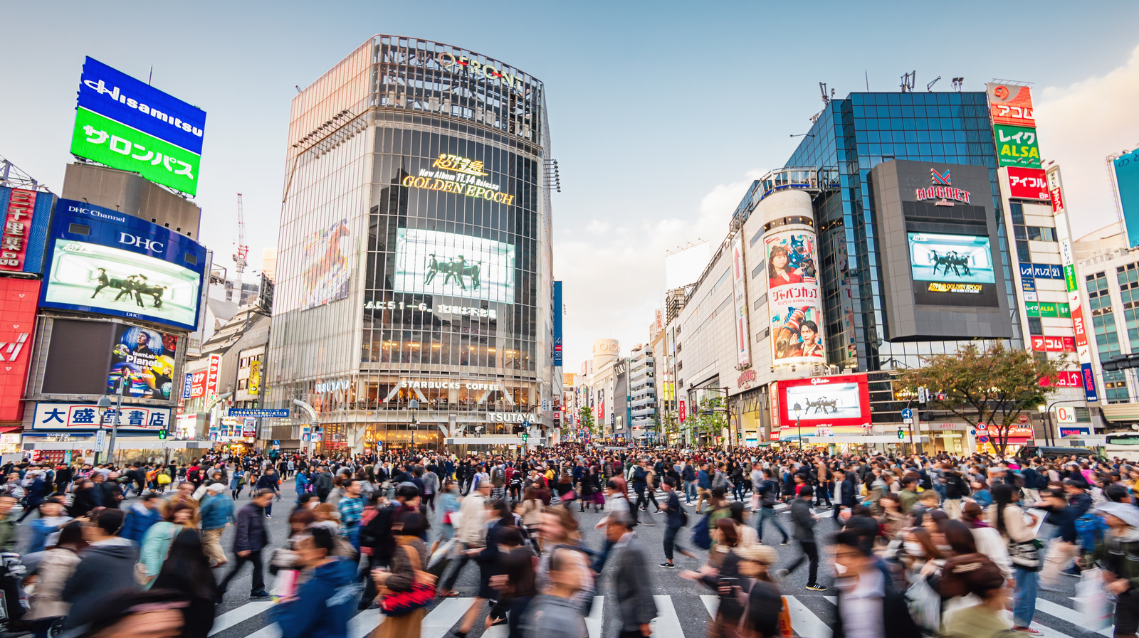 The Japanese luggage transfer system that will simplify your trip