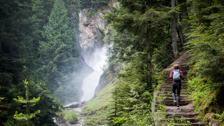 Hiker climbs stairs next to a waterfall surrounded by greenery