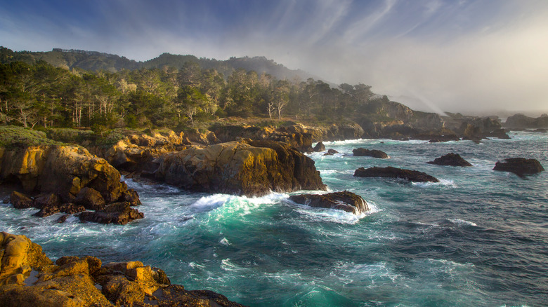 Coast of Point Lobos State Natural Reserve in California