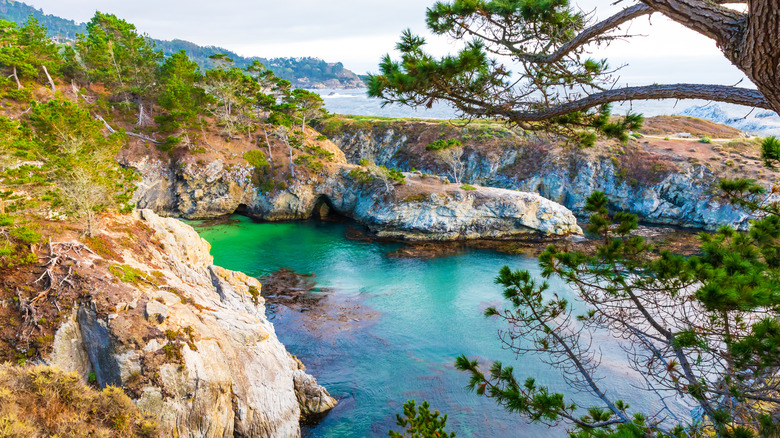 China Cove in Point Lobos State Natural Reserve, California