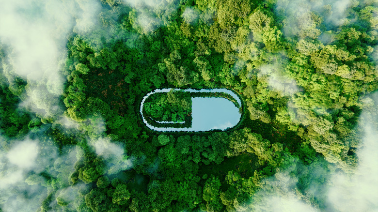 pill-shaped water in a wilderness area