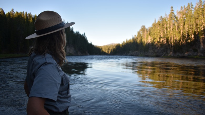 national park ranger looking at landscape