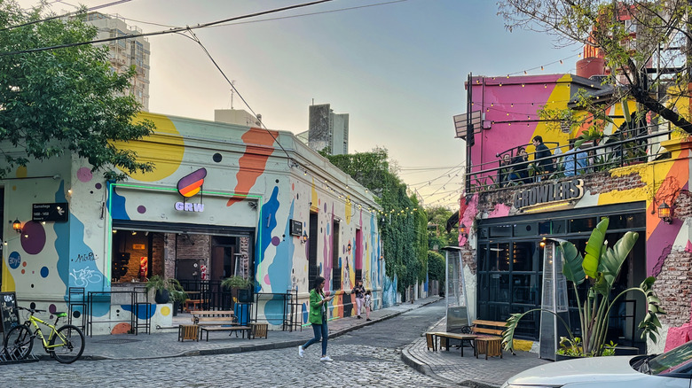 Colorful buildings and stone streets in Palermo, Buenos Aires