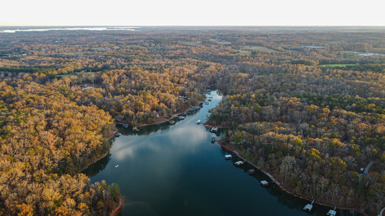 aerial view of Lake Hartwell and forests in Georgia