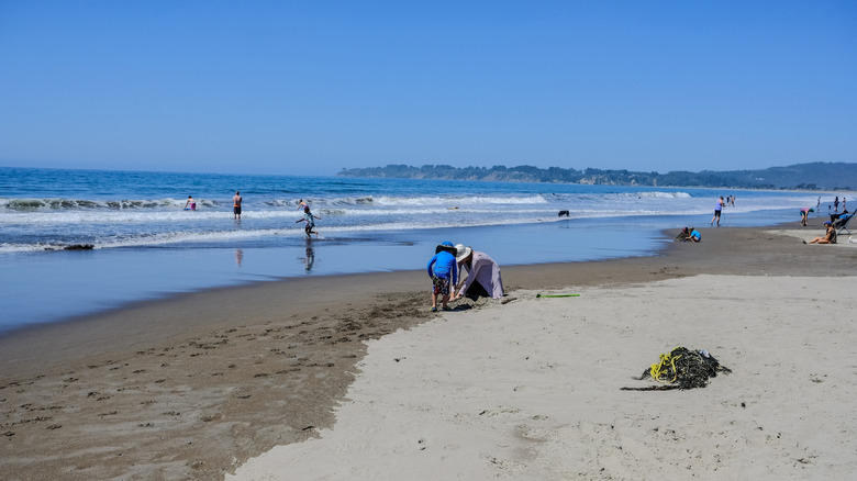 People playing at Stinson Beach