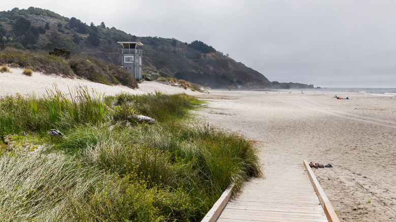 A foggy shot of Stinson Beach in the morning