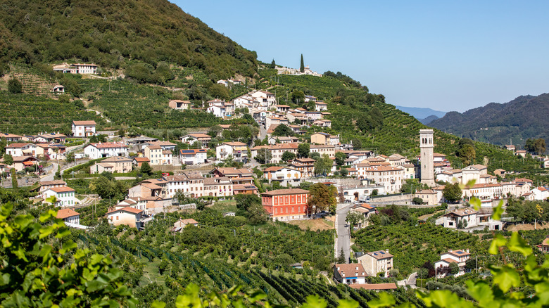 hillside town of Valdobbiadene