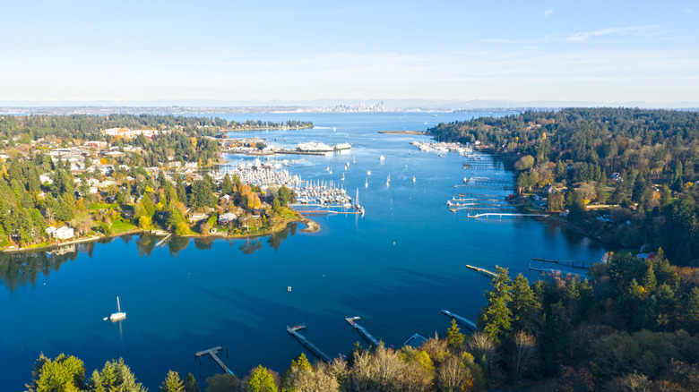 Aerial view of Bainbridge harbor