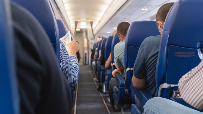 people seated on an airplane