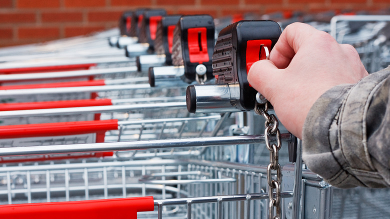 a hand inserting a coin in the shopping cart slot