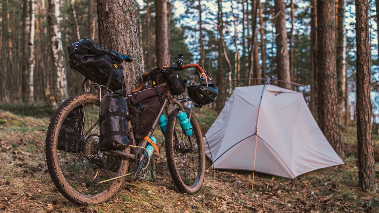 A bicycle is parked next to a tent in the woods