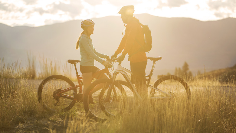 Two cyclists idle in front of mountains on a sunny day
