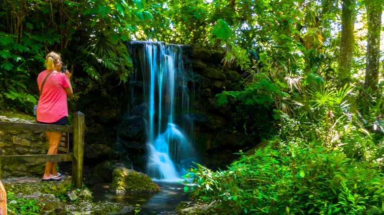 A woman takes a photo of a waterfall at Rainbow Springs State Park, Florida