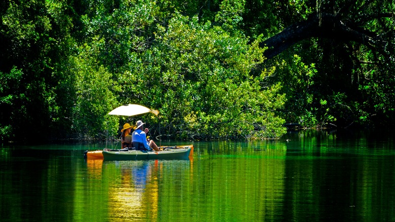 A couple takes a paddleboat through along the Rainbow River, Florida