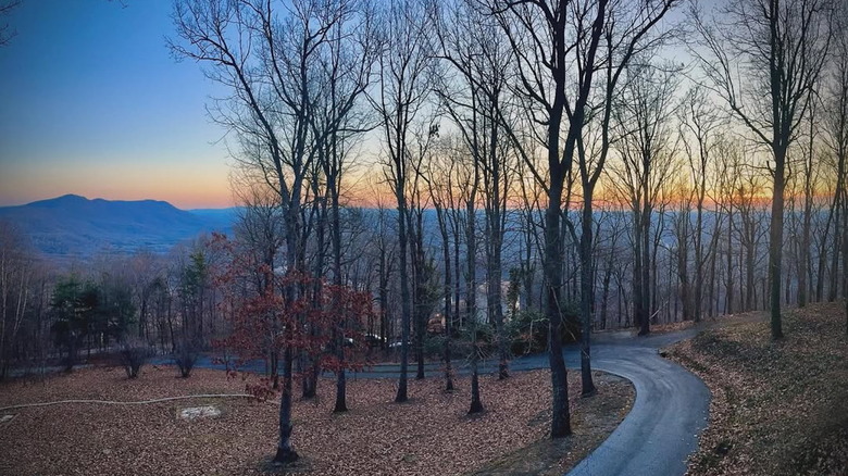 Mountains in the distance through bare trees at sunset near Tryon, North Carolina