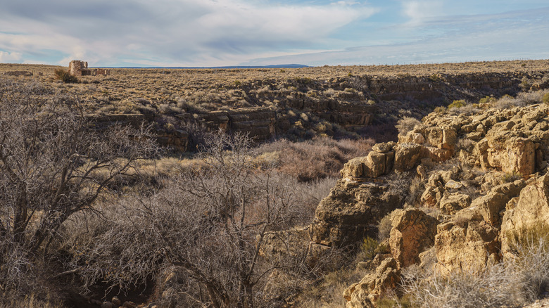 Canyon Diablo 