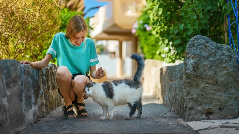 girl petting stray cat