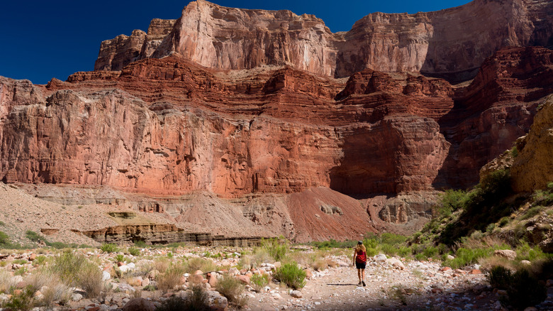 Hiker gazing up at colorful canyon walls