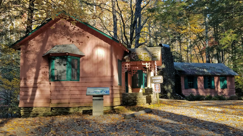 Daisy Town cabin
