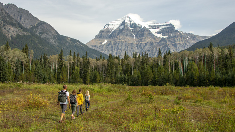 A group walking through a field surrounded by trees with mountains in the distance